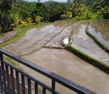 Abiansemal Casa | Karauci Homestay