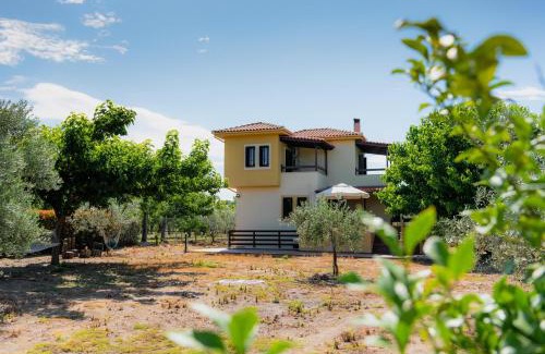 Artemida Casa | Karavos Grove