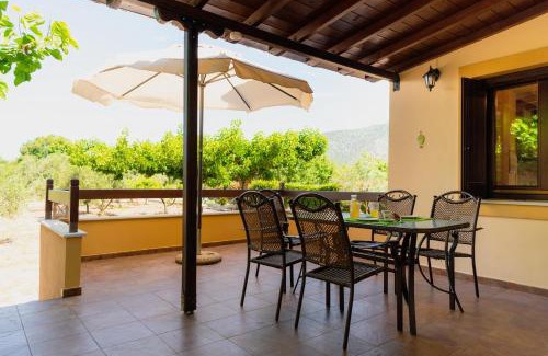 Artemida Casa | Karavos Grove