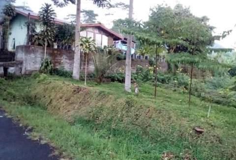 Ruteng Chalet De Esquí | Karleta Homestay