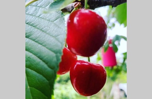 Agva Villa | Karma Natura - Your hot swimming pool&fireplace private Bungalow