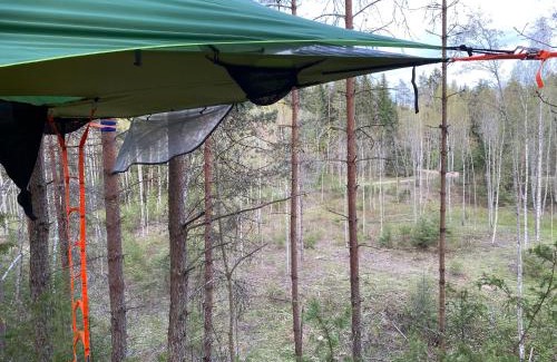 Antsla Parish Otro | Karula Stay - Exclusive Cliffside Camper & Floating Treetent Experience