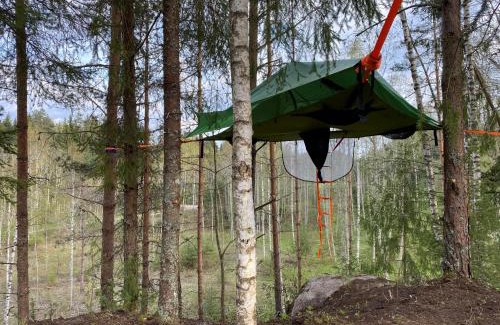 Antsla Parish Otro | Karula Stay - Exclusive Cliffside Camper & Floating Treetent Experience