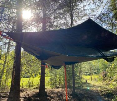 Antsla Parish Otro | Karula Stay - Exclusive Lakeside Camper & Floating Treetent Experience