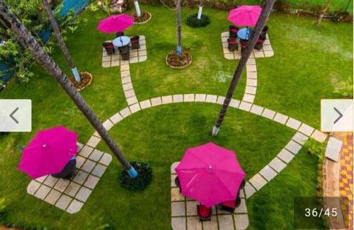 Hansot Mahal Hotel | Kasauli View Resort # Parking # lift # Garden # Restaurant # Open Terrace # On Road Location