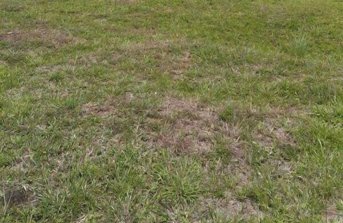 Rwashamaire Hotel | Katabile Country Resort