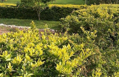 Rwashamaire Hotel | Katabile Country Resort