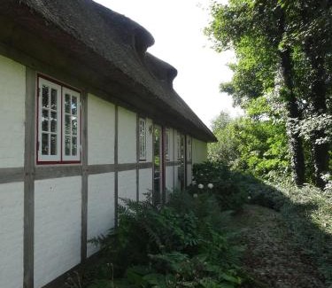Windeby Casa | Kate Windeby