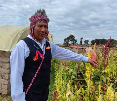 Ocosuyo Apartamento | kaypi rosas wasi Amantani