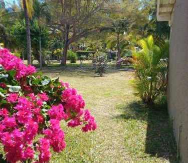 Bain Boeuf Apartamento | Kenville 17