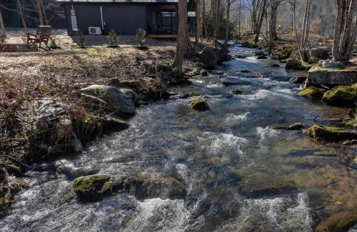 Cosby Casa | Kerri's Cottage-Pickleball Court, Creek, WIFI, Mountain Views, No Cleaning Fee