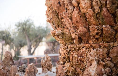 Mahane Zofar Otro | Kfar Hanokdim - Glamping & Camping