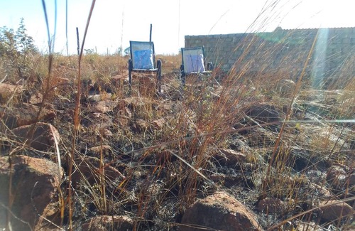 Soshanguve Otro | KGOLA SAFARIS
