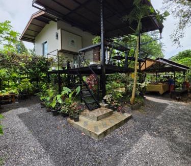 Khlong Sok Casa | Khaosok Impress