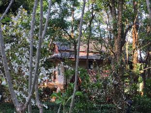 Pong Ta Long Complejo | Khaoyai Nature Retreat