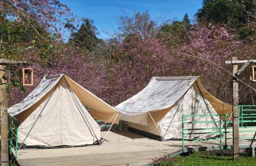Kon Plong Otro | Khu Gghỉ Dưỡng glamping Pa Sỹ