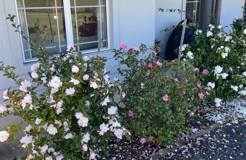 Moss Vale Apartamento | Kialla Down