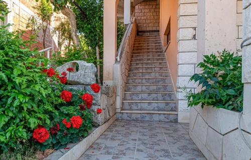 Medvinjak Apartamento | Kiara