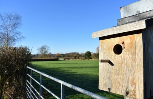 Clyst St Mary Cabaña | Kiddicott Farm Cottage #1