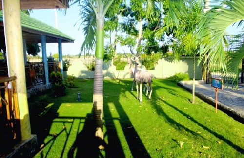 Kigamboni Apartamento | Kigamboni Hotel Suite