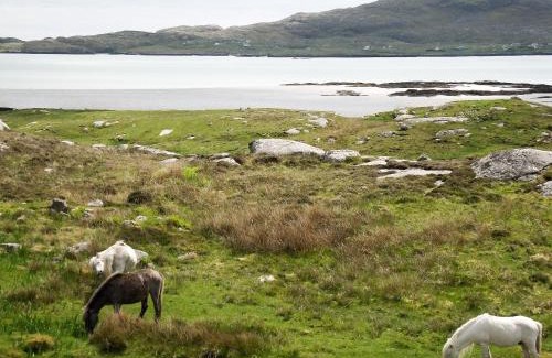 Aisgernis Casa | Kilbride Cottage