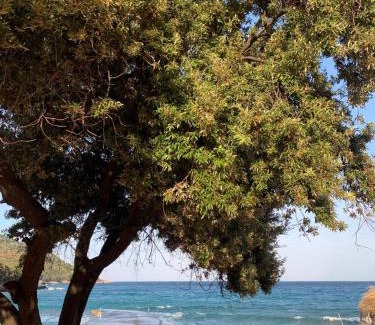 Thasos Apartamento | King Studios