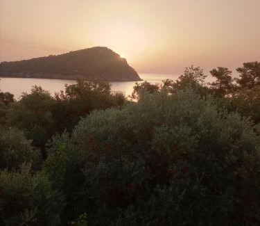 Thasos Apartamento | King Studios