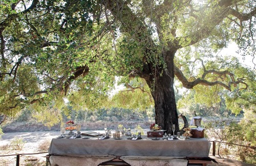 Thorny Bush Game Reserve Casa | Kings Camp