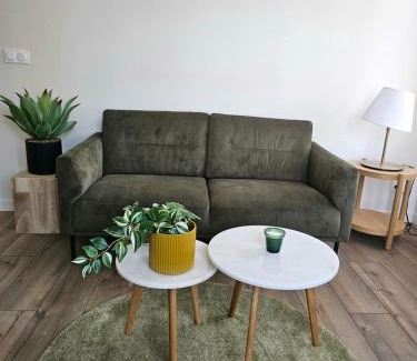 Roche-la-Moliere Apartamento | Kings View