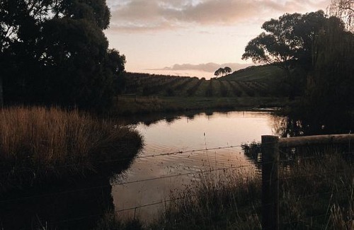 McLaren Vale Casa | Kingsgate Farm-Stay