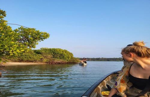 Kurinchanpitiya Casa | kite Paradise Resort