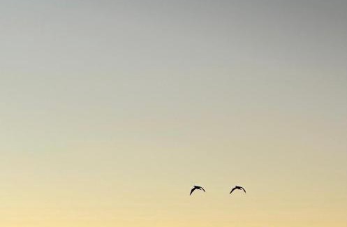 Tramandai Otro | Kite Point Lagoa do Armazém