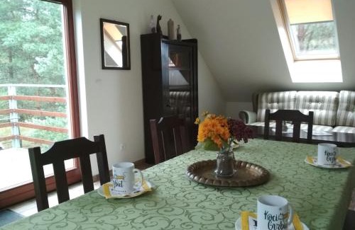 Wielen Casa | Koci Grzbiet Agroturystyka