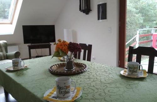 Wielen Casa | Koci Grzbiet Agroturystyka