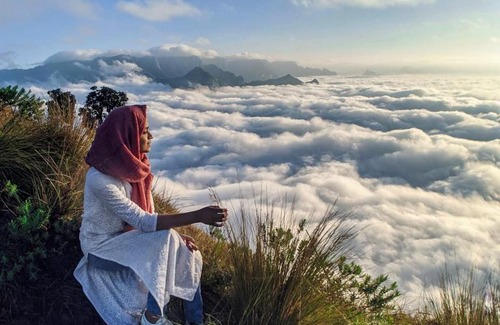 Suryanelli Otro | Kolukkumalai Valley Camp
