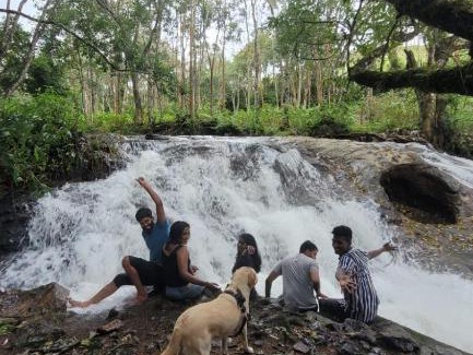 Suryanelli Otro | Kolukkumalai Valley Camp