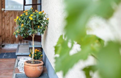 Vogtareuth Apartamento | Komfort Apartment Römersberger - 6