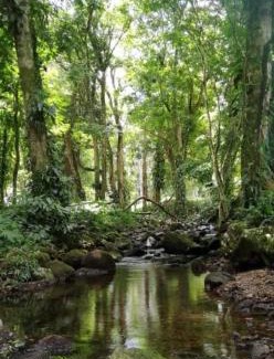 Jiménez Apartamento | Kono Rainbow Finca paraíso
