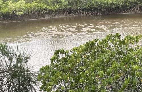 Coonarr Casa | Kookaburra Creekside Retreat- Huge family house backing on to Coonarr Creek