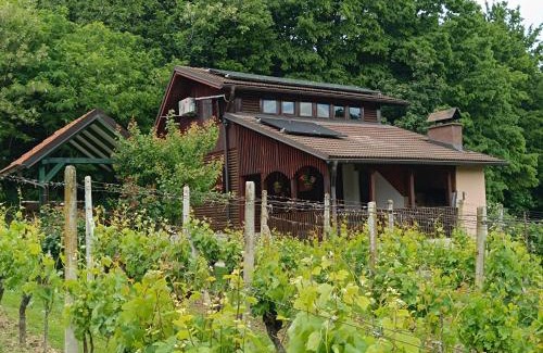 Kutina Casa | Kuća za odmor Laura