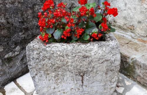 Opatija Casa | Kuća Za Odmor Mikleus