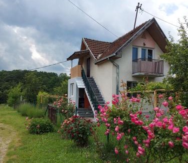 Pozega Casa | Kuca - STUDIO