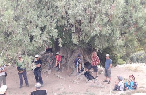 Uzbekistan Casa | Kuldosh`s homestay in Majrum village