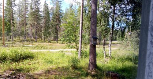 Sodankyla Apartamento | Kuukkeli Apartments Vuotso