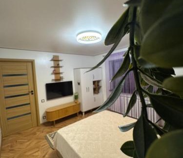 Slanic-Moldova Apartamento | KUZINATRA Apartament