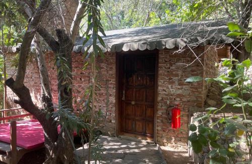 Zeytinli Cama Y Desayuno | Kybele Nature Life