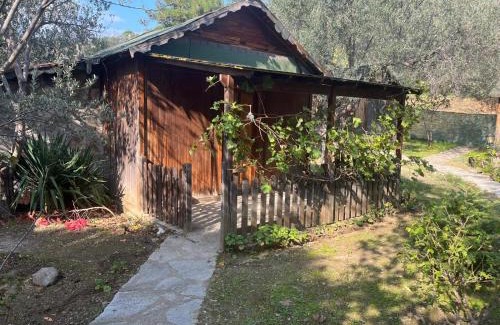 Zeytinli Cama Y Desayuno | Kybele Nature Life