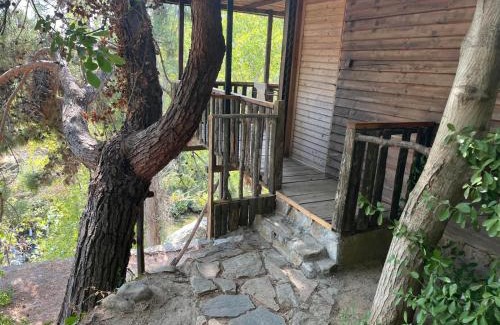 Zeytinli Cama Y Desayuno | Kybele Nature Life