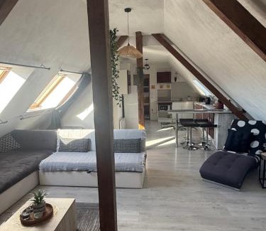 Entzheim Apartamento | L'Alcôve Alsacienne chaleureux avec chauffаge