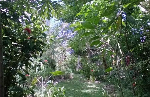 Saint-Joseph Cama Y Desayuno | L'Arbre de Vie